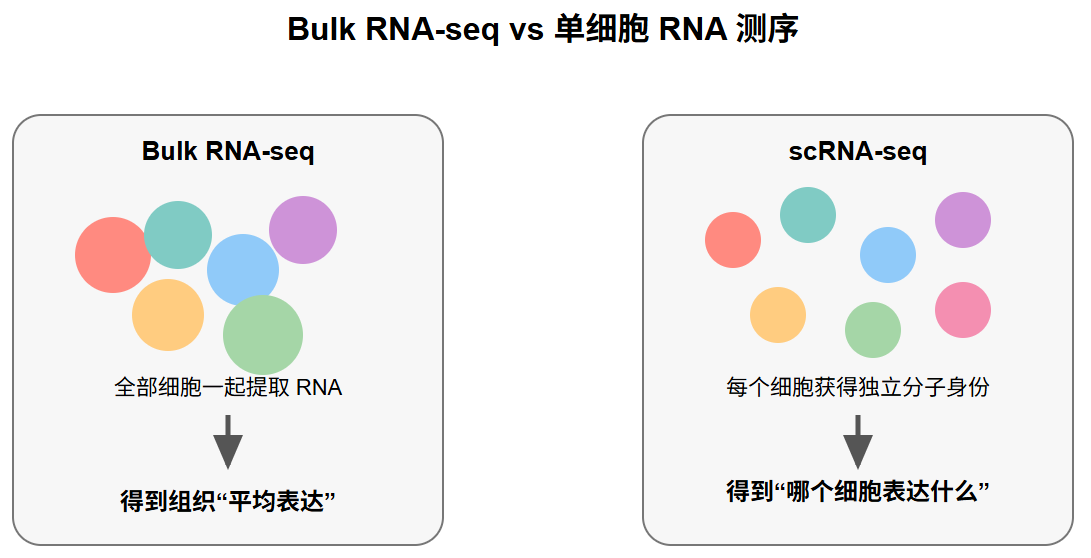 Bulk RNA-seq 与单细胞 RNA 测序的信息差异