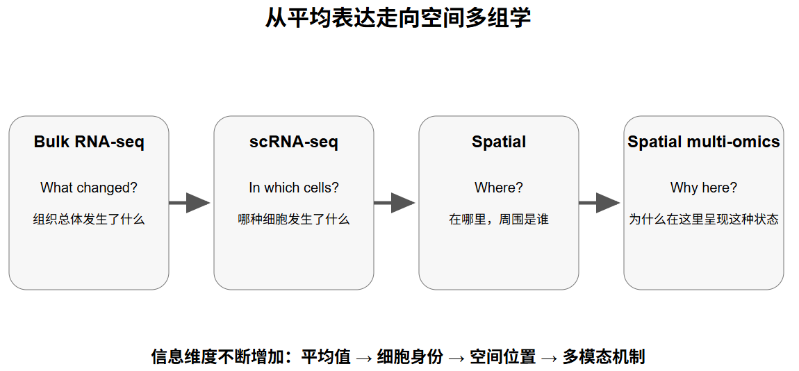 从 Bulk RNA-seq 到空间多组学的技术演进